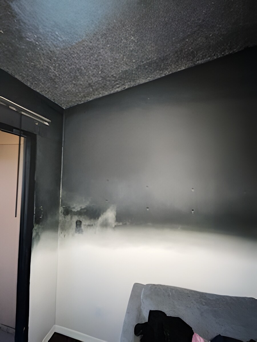 Skyline Services project photo