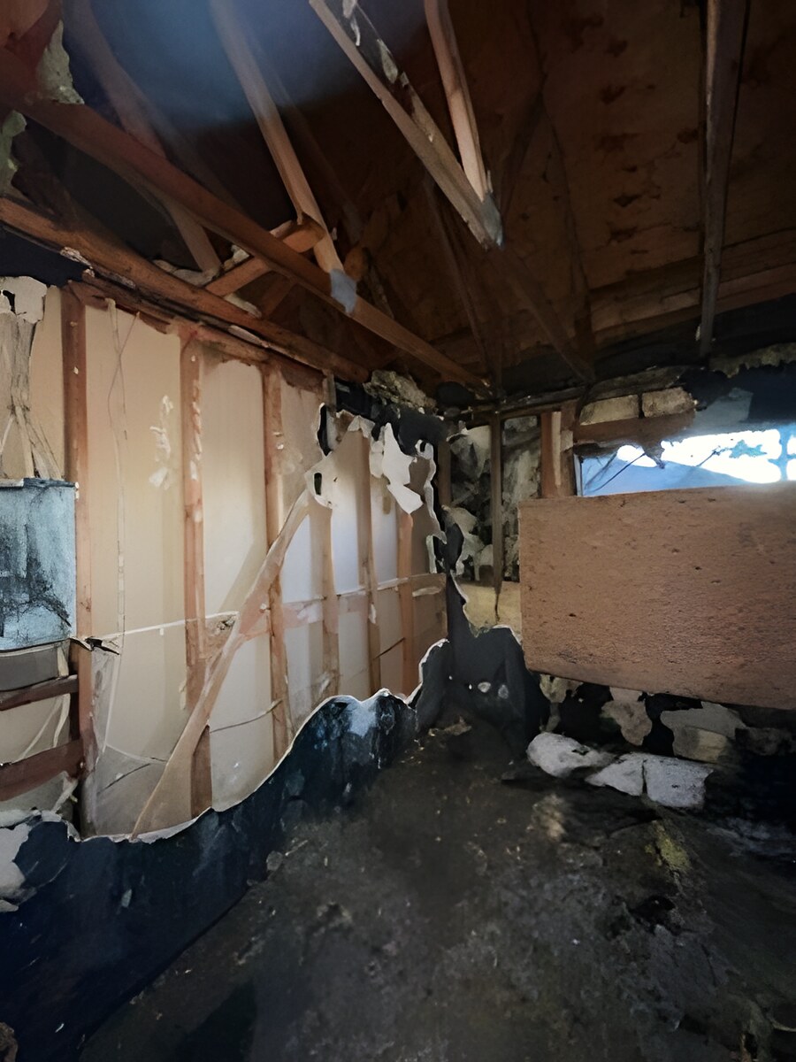 Skyline Services project photo