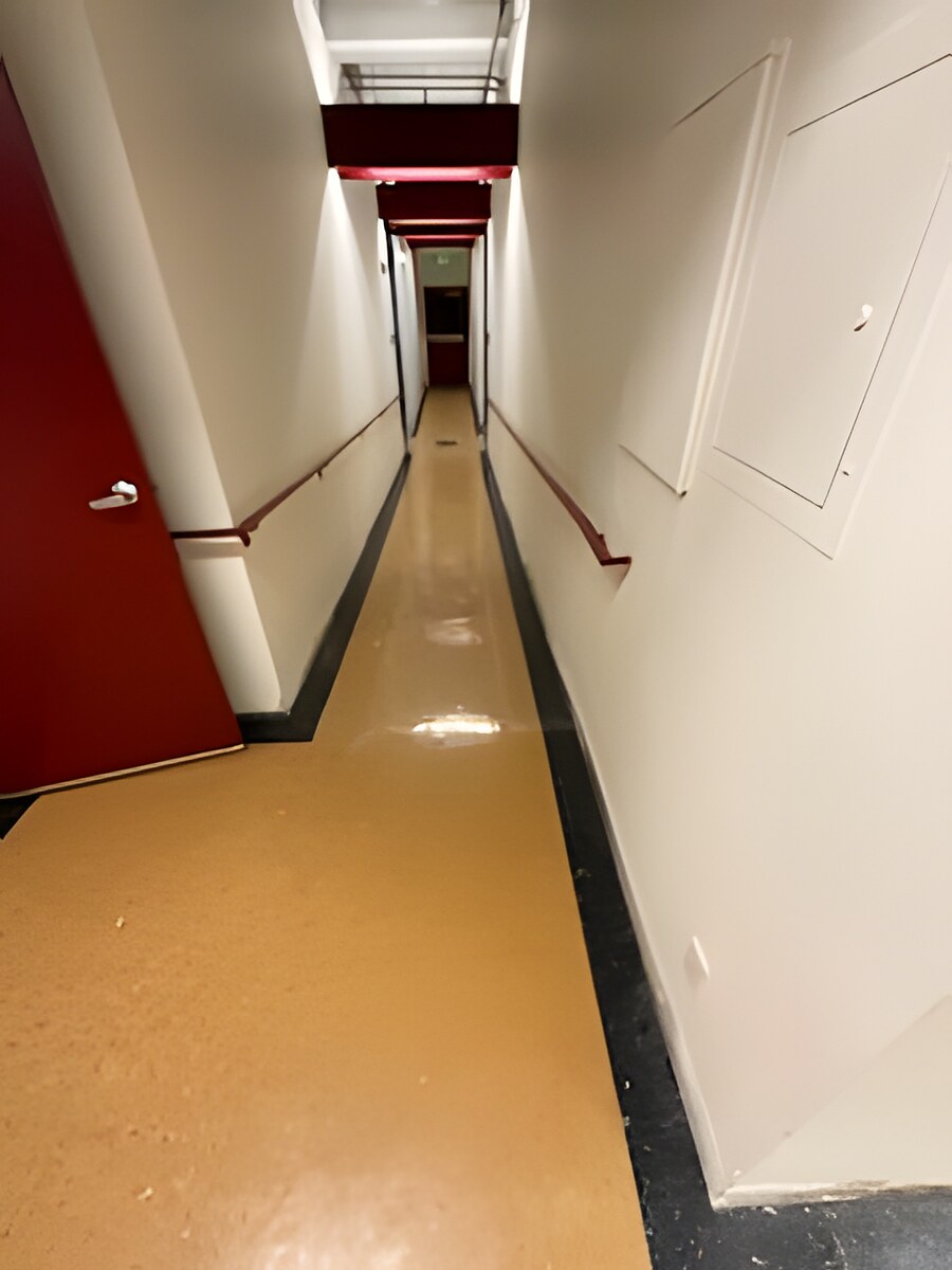 Skyline Services project photo