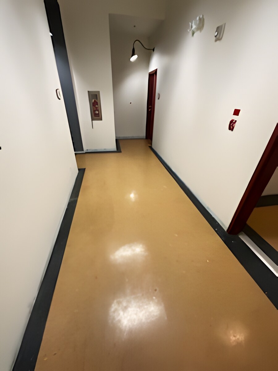 Skyline Services project photo