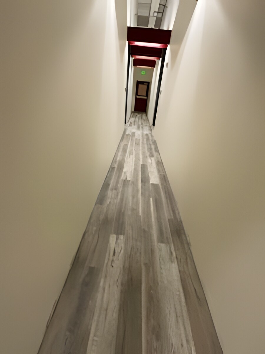 Skyline Services project photo