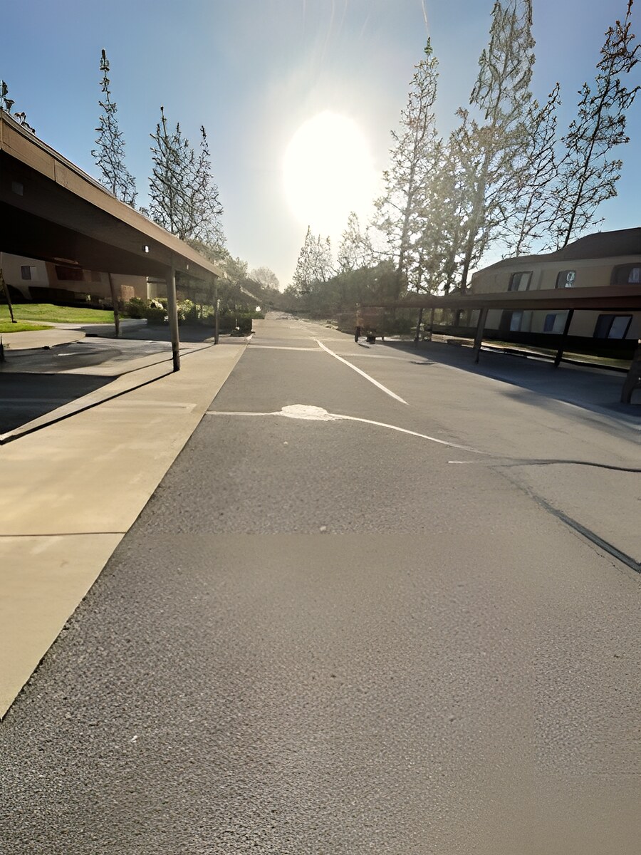 Skyline Services project photo