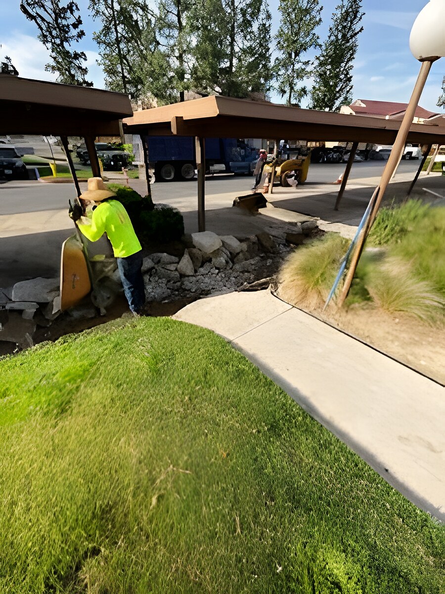 Skyline Services project photo