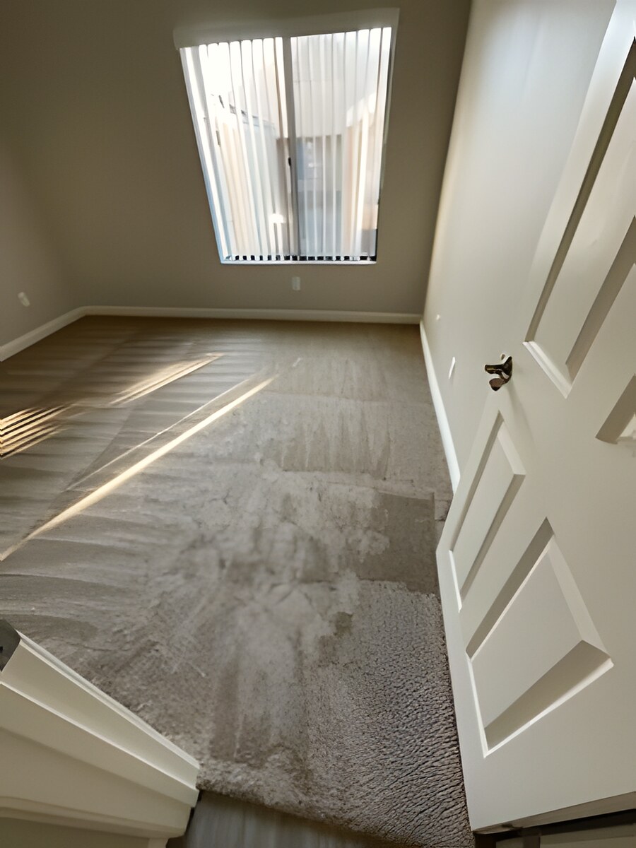 Skyline Services project photo
