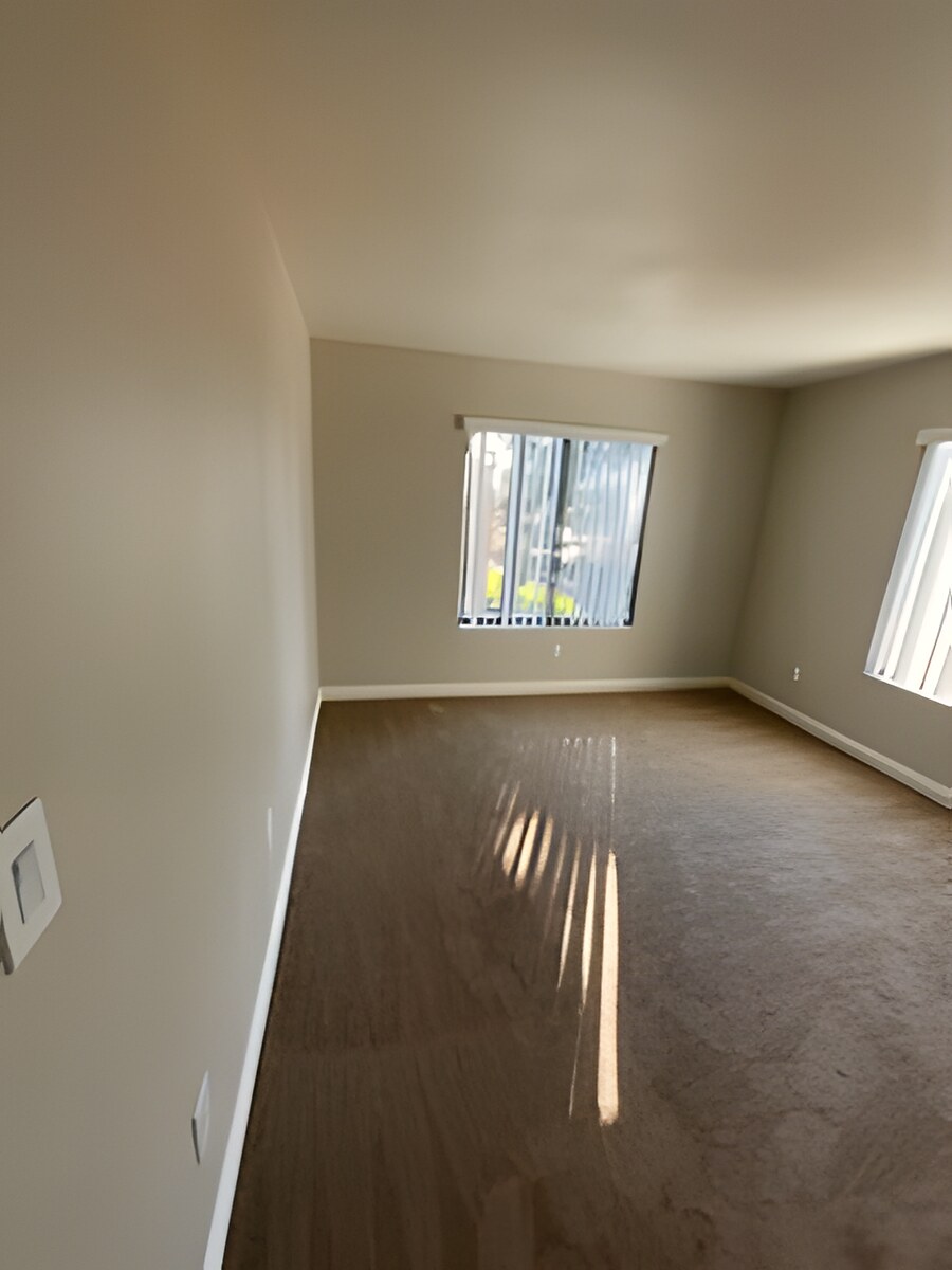Skyline Services project photo