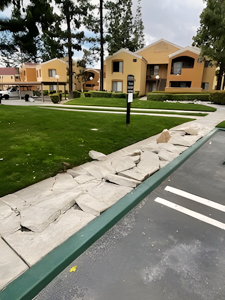 Skyline Services project photo
