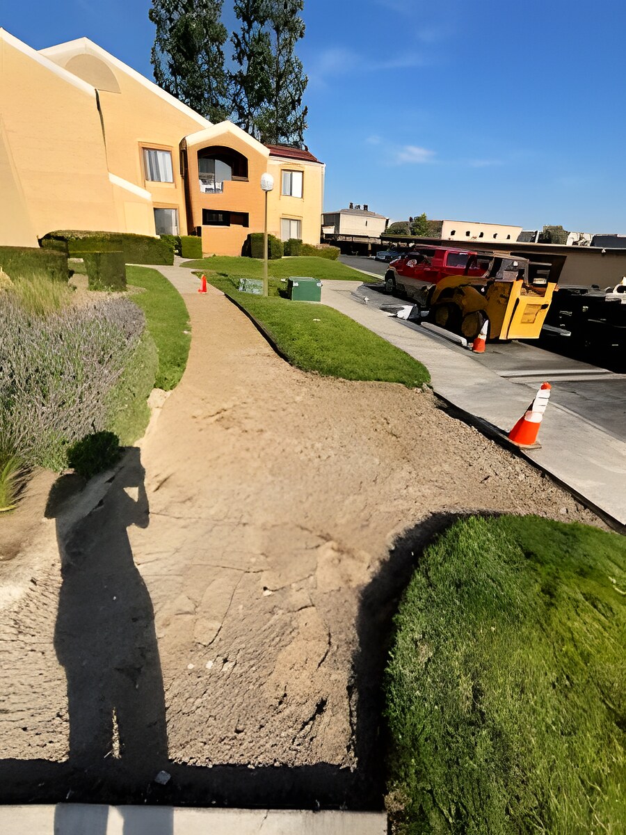 Skyline Services project photo